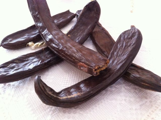 ROSCOVE PROASPETE, Cristela GEORGESCU