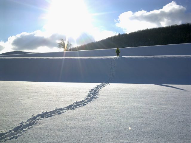 Legatura cu Natura e in ADN-ul copiilor