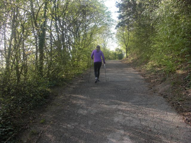 "In three words I can sum up everything I've learned about life: it goes on." (Robert Frost)