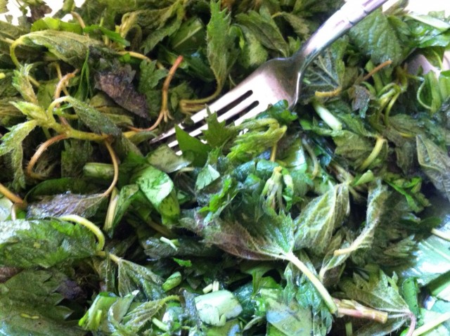 SALATA DE URZICI - Cristela GEORGESCU