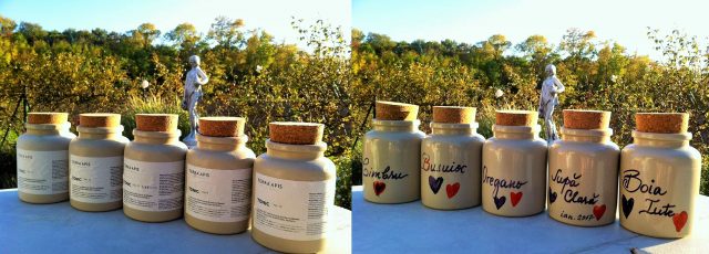 Toamna și primăvara facem o cură cu tonice. Fiecare cu borcanul lui: Tonic 12 pentru adulți suprasolicitați si suprarenale ciufulite, Tonic 8 pentru imunitatea și suprarenalele copilului modern, Tonic 6 pentru sportivi, Tonic 9 pentru sarcină și alăptare. Borcanele de ceramică golite au intrat în patrmoniul bucătăriei. :)