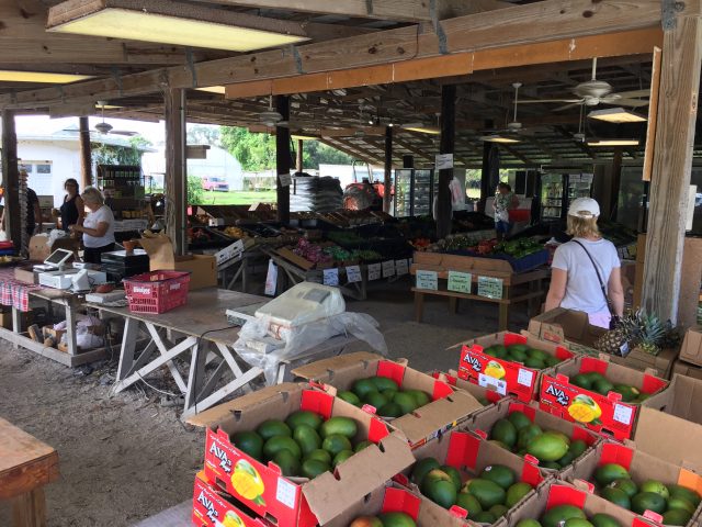 Piață locală, Florida, USA - Cristela GEORGESCU